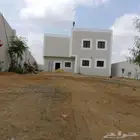 جميع اعمال الديكور وادهنات.