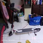 AL-SHARQIAH Dali Rally