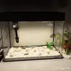 حوض سمك للبيع