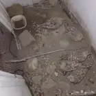 6حبات قطاء