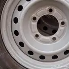 جنوط هلل ربع اصلي وكاله معا كفرات شاهين