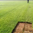 ثيل طبيعي صافي C2000 أمريكي مشروط