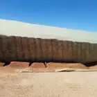 ذرة جيزانية