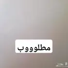 مطلوب شقة ودور ارضي ايجار عوائل