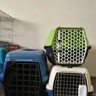 مستلزمات طيور وحيوانات وزراعة