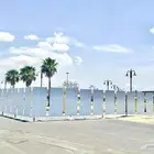 تسوير المشاريع الصغير والكبير بزنك او الخشب