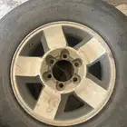 جنوط إف جي حجم 16 شرط أصليات