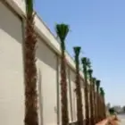 نقوم بتوريد وزاعت إنخل جميع انواع