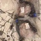 مقصات علويه اماميه تشارجر