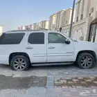 يوكن دينالي 2007