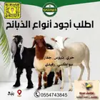 سواكن حري رفيدي تيوس مع التقطيع والتوصيل