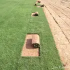 جميع انواع التيل الطبيعي