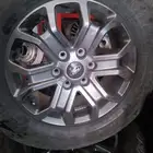 جنوط فرد الموديل الجديد