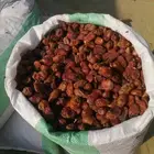 تمر علف عدد 1000 كيس شعير وطحين للبيع جملة وتفريد