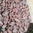 خضري الغاط 20طن