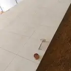 مبلط