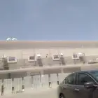 يتوفر عليك وبنعملك الوجه لنتكس مكسيكي