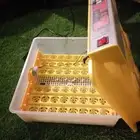 فقاسة 48 بيضه جديده