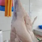 خروف كامل 720ريال تيس كامل 770