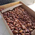 علا السوم عندي كرتون اثنين