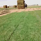 ثيل طبيعي الخرج الدرجه الاوله