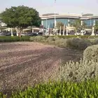 مرافق مريض