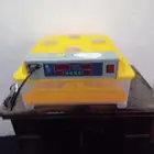 فقاصه توماتيك للبيع