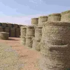 السلام عليكم ورحمه الله لفات رودس جديد المذنب