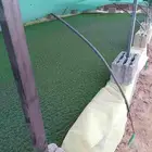 يتوفر لدينا ازولا طبيعية مغذيه للدجاج تنمو وتزيد انتاج البيض