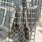 شبكة حديدية  ظل قبر
