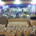 مؤسسة زهرة الخليج الزراعية نجران -دحضة