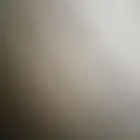 صوص سمان تكساس تم اللبيع