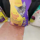 محل قطه وطير