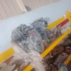 القصيم عنيزه