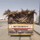 سعف نخيل جديد أخضر للعرايش والمظلات والمظلات