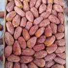 تمر مجدوله فاخر من الاخر من إنتاج هاذا العام