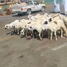 بهم سواكني