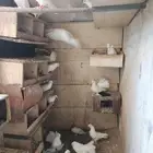 حمام مشكل للبيع