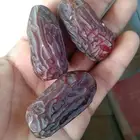متوفر خضري وخلاص كميات