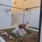 معلم دهانات باكستاني