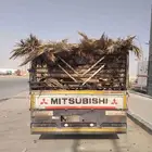 سعف جديد أخضر للعرايش والمظلات والمظلات