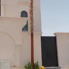 نخل واشنطن أمريكي ونخل عربي مثمر واشجار سرو
