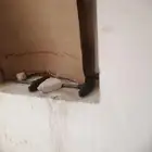 مكيف اسبليت عدد 1. للبيع مستعمل