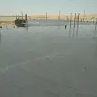 شبوك مزارع توريد وتركيب
