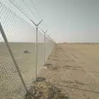 يوجد لدينا جميع انواع النخيل وجميع انواع الشبوك