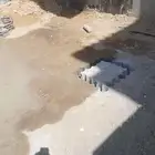 تخريم كور مكيف سباكة ارخص اسعار شغل ممتاز