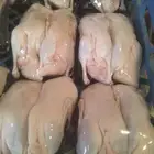 بط بكيني تبي مذبوح ولا حي متوفر كميه طيبه اصحاب المحلات واصح