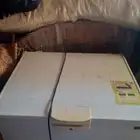 فريزل