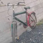 سيكل حجم كبير