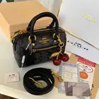 كوتش مستر كواليتي